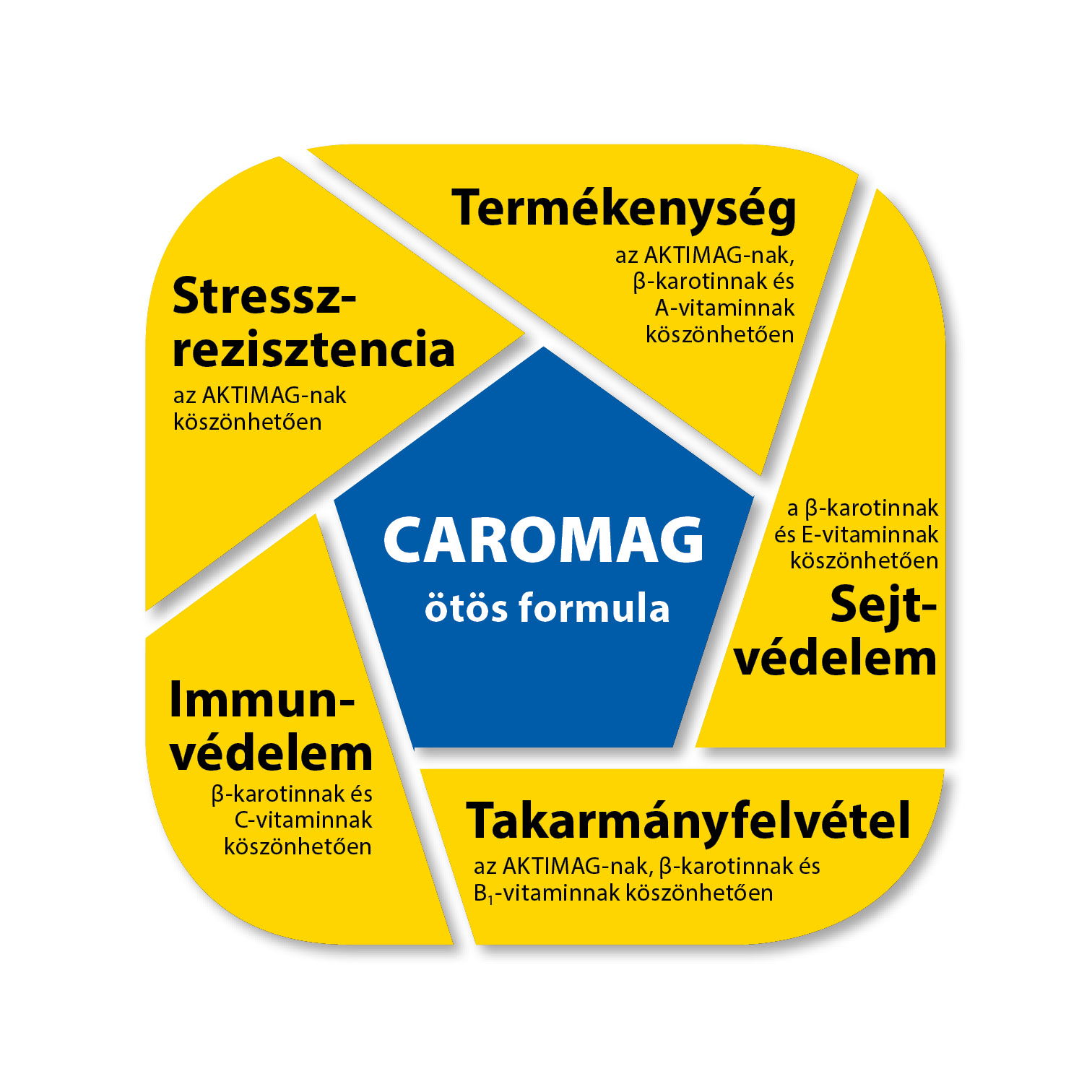 CAROMAG CAROMAG
