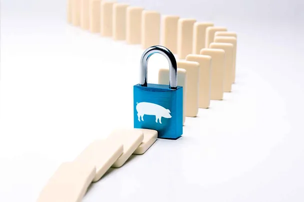 SCHAUMACID-Futtersäuren